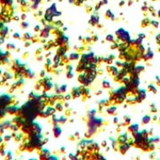  lead-tin-yellow-pigment-microphotograph