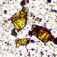 orpiment-microphotograph