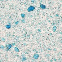 Cobalt Blue Colourlex Cobalt Blue Microphotography