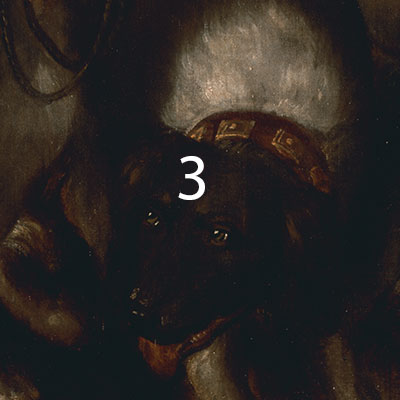 Titian-Venus-and-Adonis-pigments-3