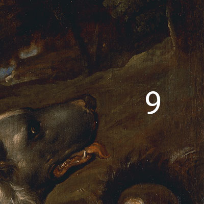 Titian-Venus-and-Adonis-pigments-9