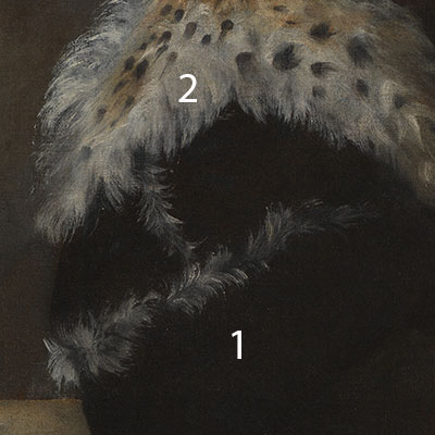 Titian-Portrait-Girolamo-Fracastoro-pigments-1-2