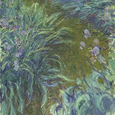 Monet, Irises - ColourLex