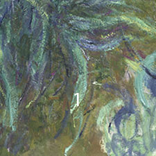 Monet-Irises-pigments-1