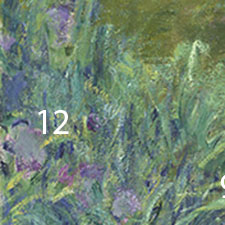 Monet-Irises-pigments-12