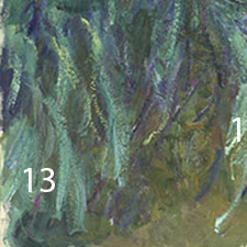 Monet-Irises-pigments-13