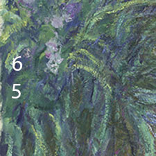 Monet-Irises-pigments-5-6