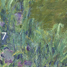 Monet-Irises-pigments-7