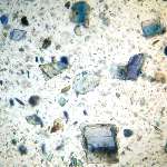 vivianite-microphotography