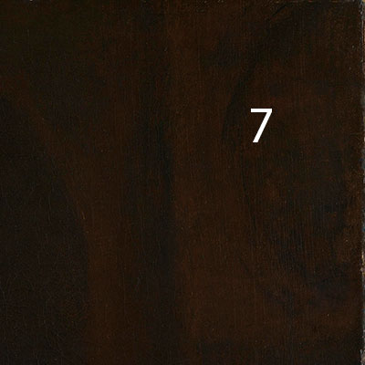 Rembrandt-An-Elderly-Man-as-Saint-Paul-pigments-7