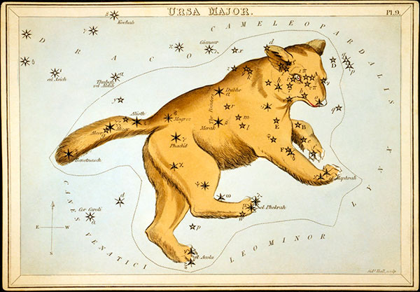 Constellation-Great-Bear-Ursa_Major