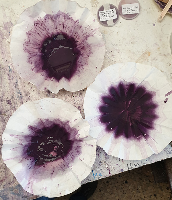 download tyrian purple dye price