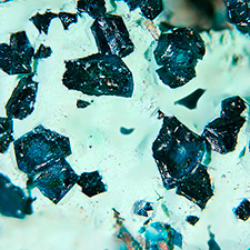Mineral-Hoganite